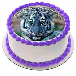 Торт Тигр